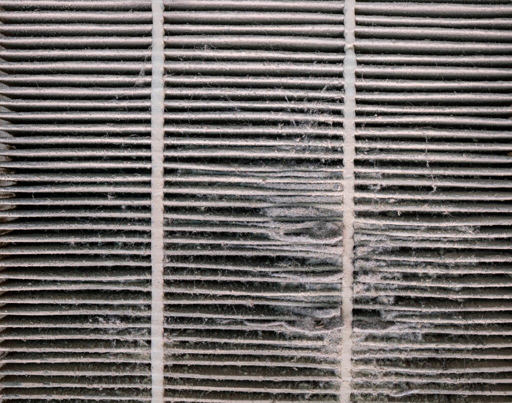 duct cleaning services